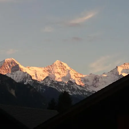 Appartement Mountain View